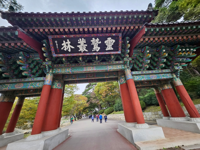 KakaoTalk_20251022_144508189.jpg 이미지