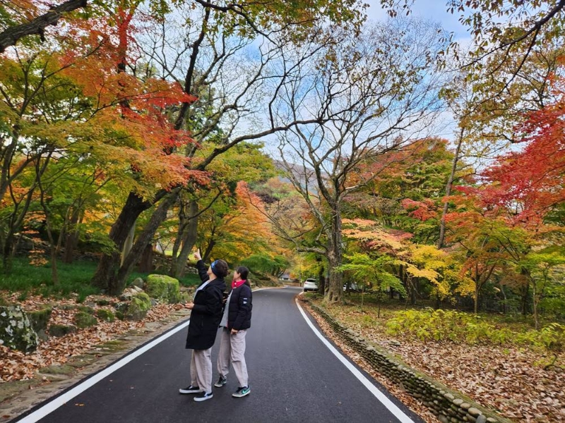 20251120_080838.jpg 이미지