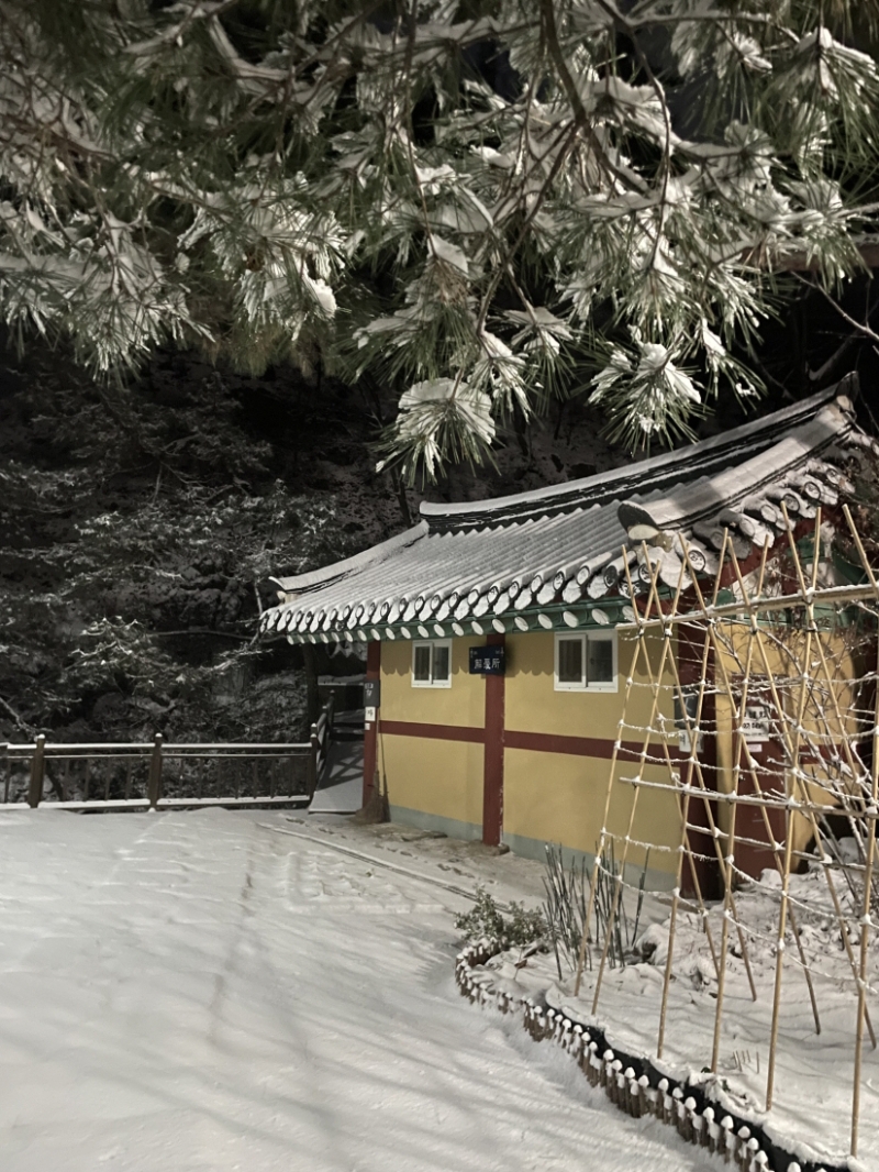 [꾸미기]KakaoTalk_20251206_095710492.jpg 이미지