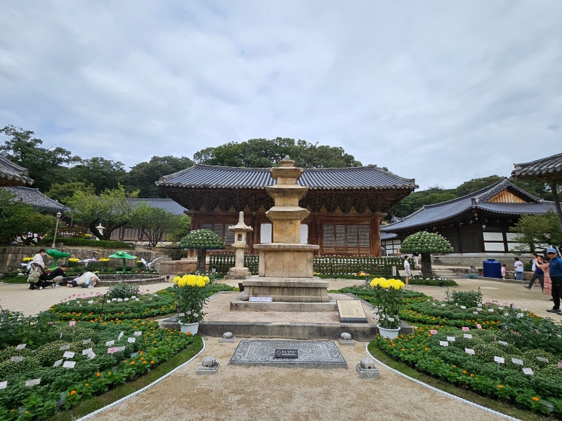 KakaoTalk_20251011_154407470_03.jpg 이미지