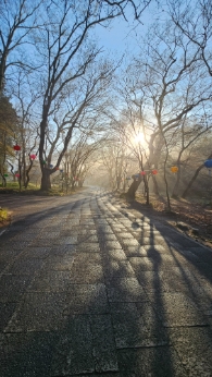 20250406_073322.jpg 이미지