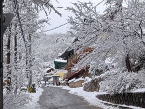 Winter Templestay-작은 .jpg 이미지