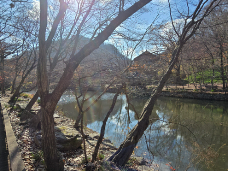 KakaoTalk_20251129_085354327_06.png 이미지