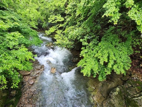 대흥사 계곡_0.jpg 이미지