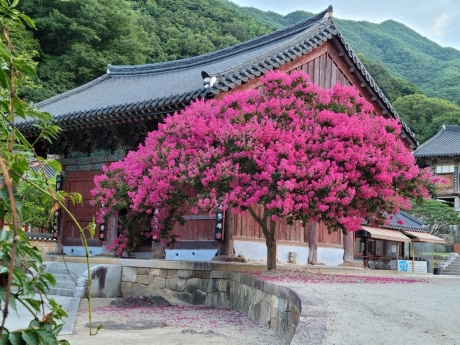 무제_0.jpg 이미지