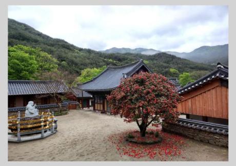 제목을 입력하세요 (5).jpg 이미지