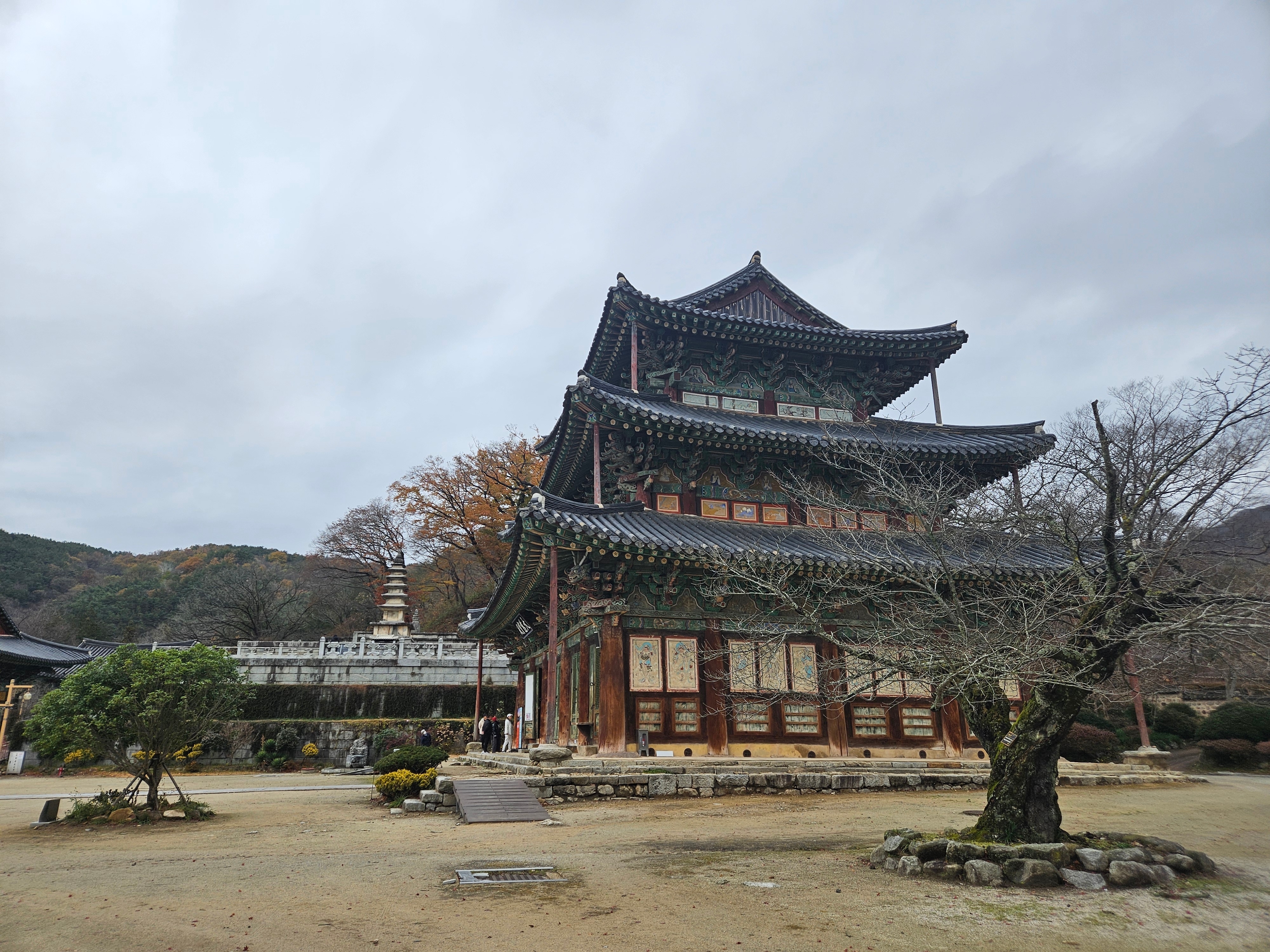 KakaoTalk_20250301_090252630.jpg 이미지