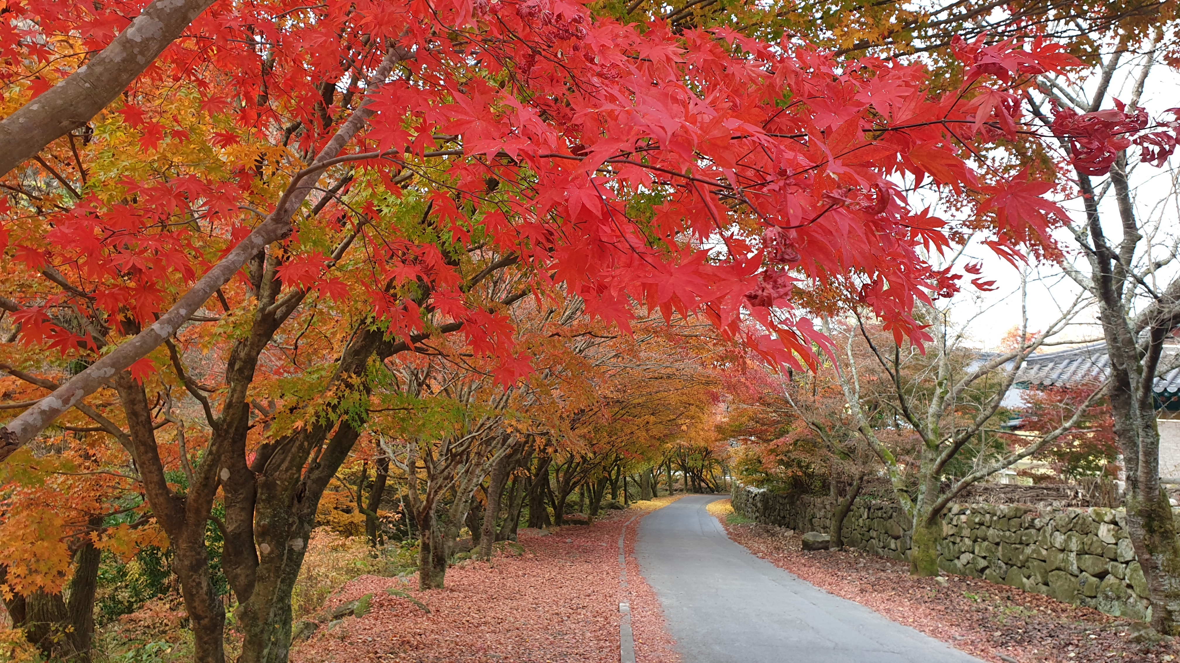 KakaoTalk_20250301_090648321.jpg 이미지