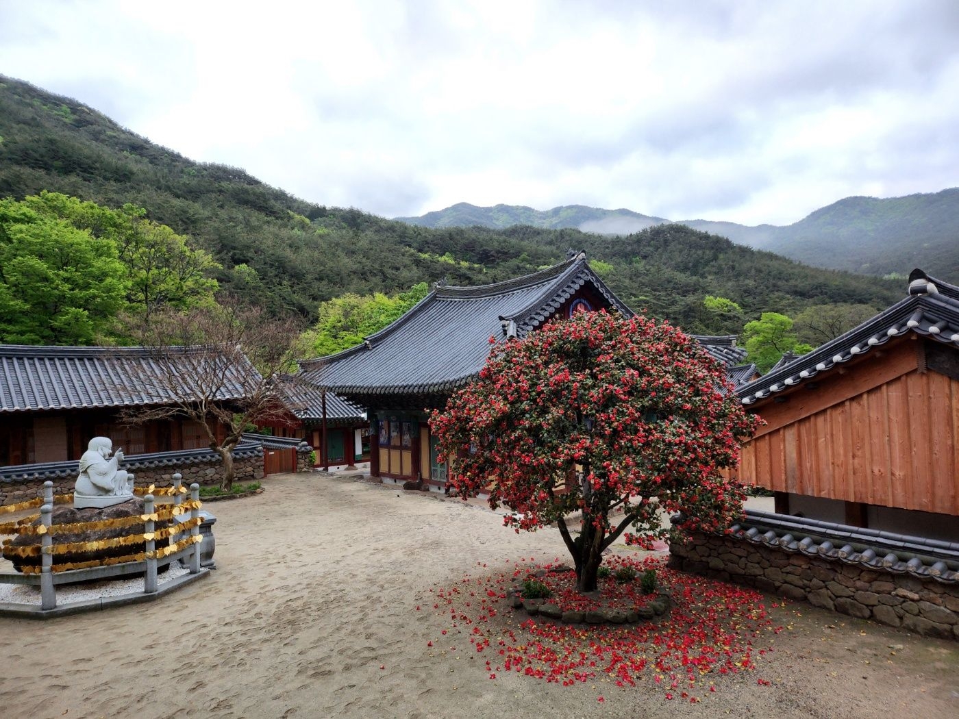 1759796076719.jpg 이미지