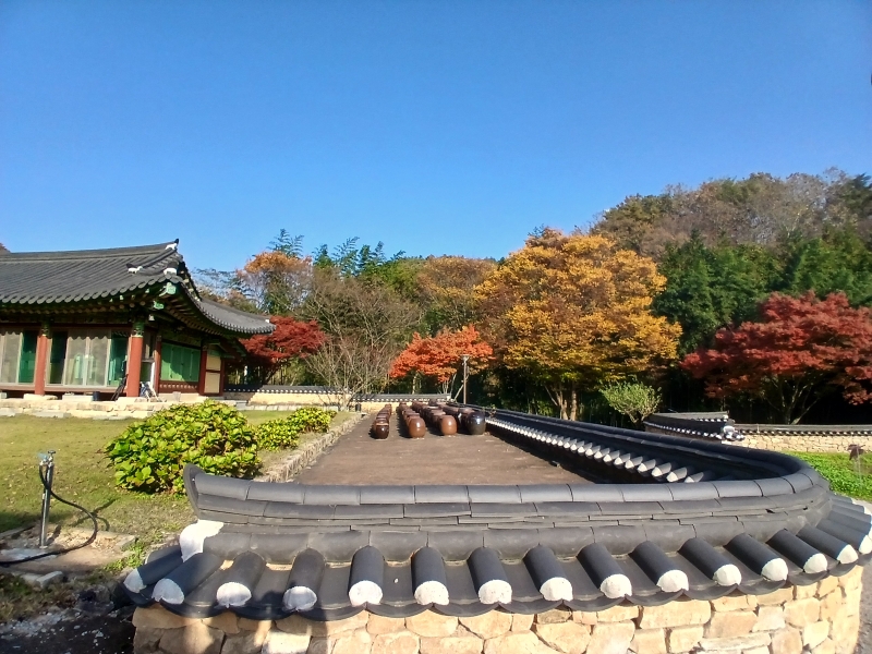 1762840430721[1].jpg 이미지