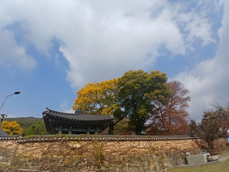 1762840430806[1].jpg 이미지