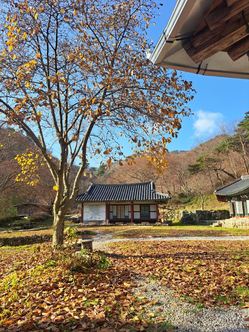 KakaoTalk_20251208_211626734.jpg 이미지