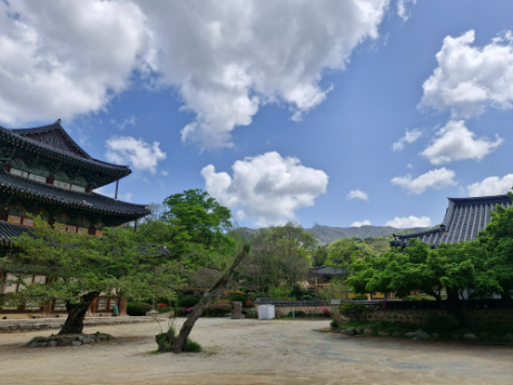 KakaoTalk_20250421_135234600_02.png 이미지