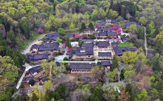 선암사 항공사진 2020.5 (3) - 수정.JPG 이미지