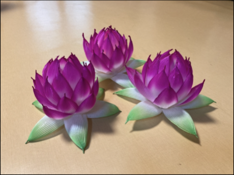 캡처2.PNG 이미지