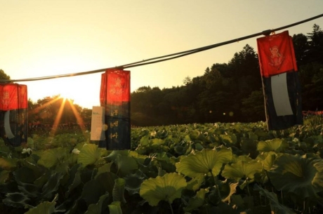 새해맞이3_0.jpg 이미지