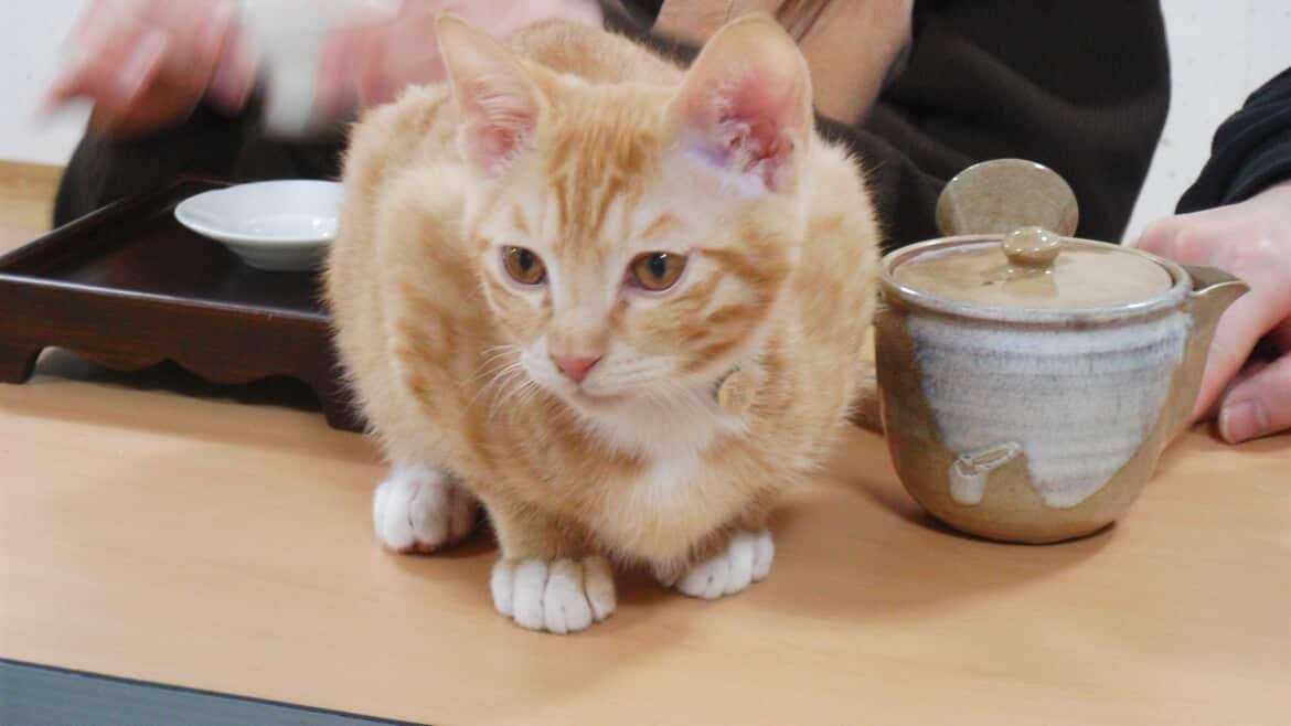 KakaoTalk_20260123_215144217.jpg 이미지