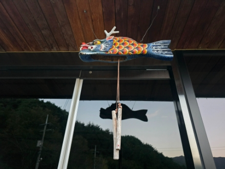 20251027_174126.jpg 이미지