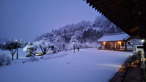 KakaoTalk_20260225_081154361_13.jpg 이미지