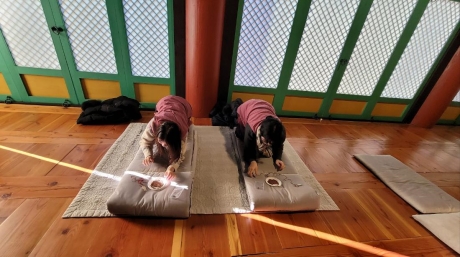 무제_0.jpg 이미지